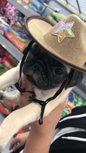 they love hats