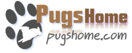 Pugs Home