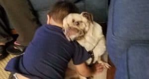 they love hugs