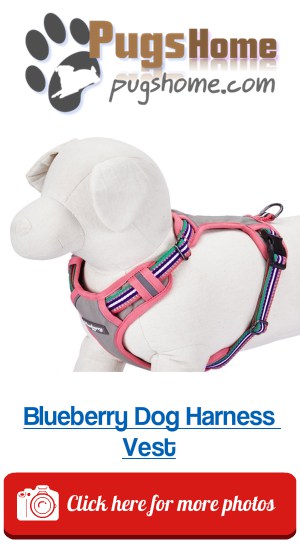 Blueberry Dog Harness Vest