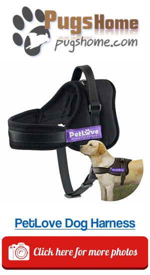 PetLove Dog Harness