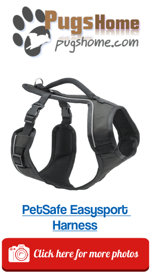 PetSafe Easysport Harness