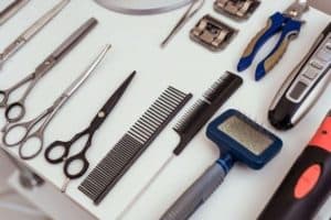 Grooming And Maintenance