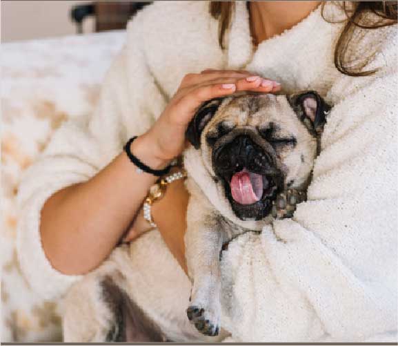 PUG Adoption