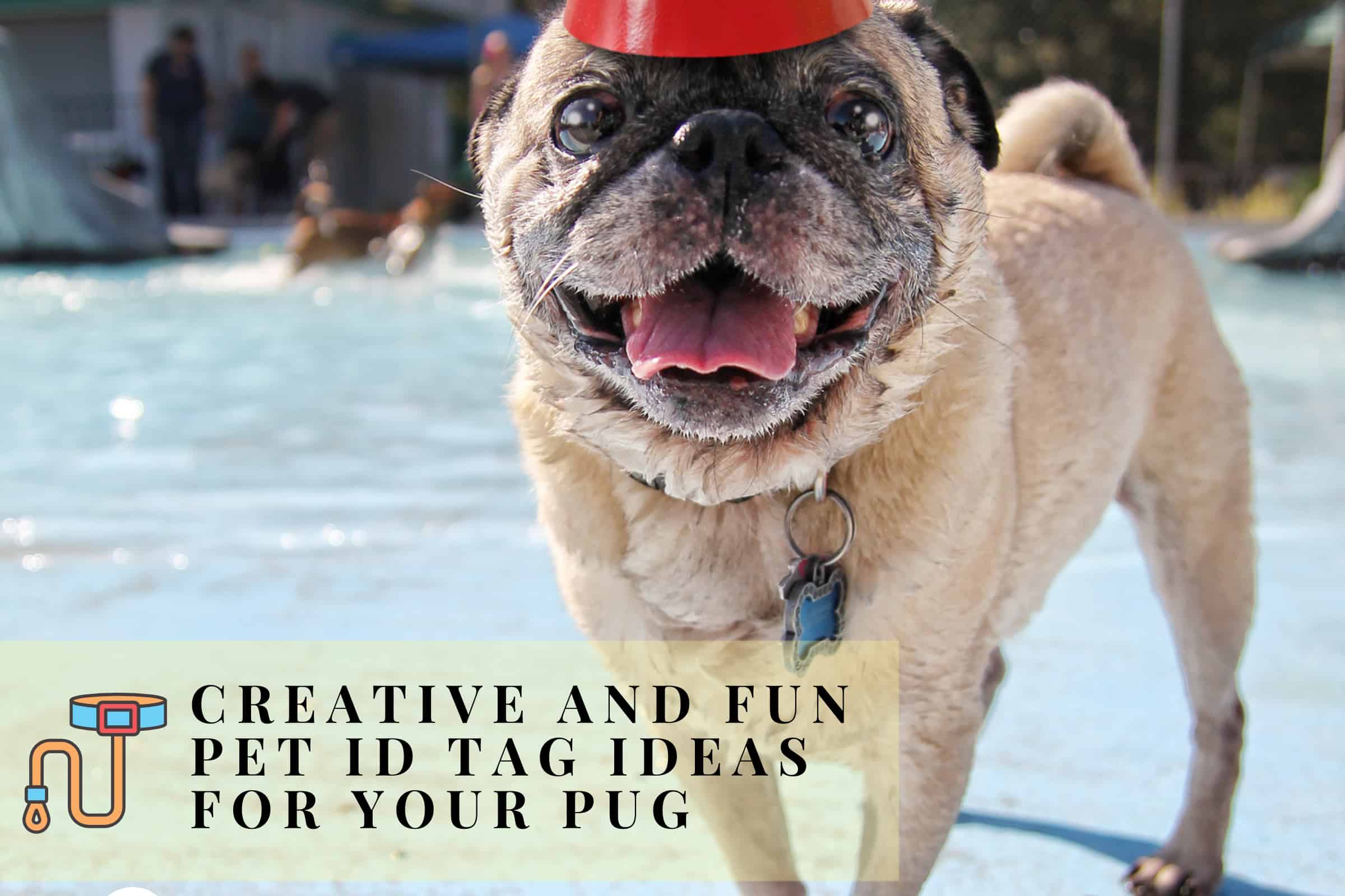 pug dog tag