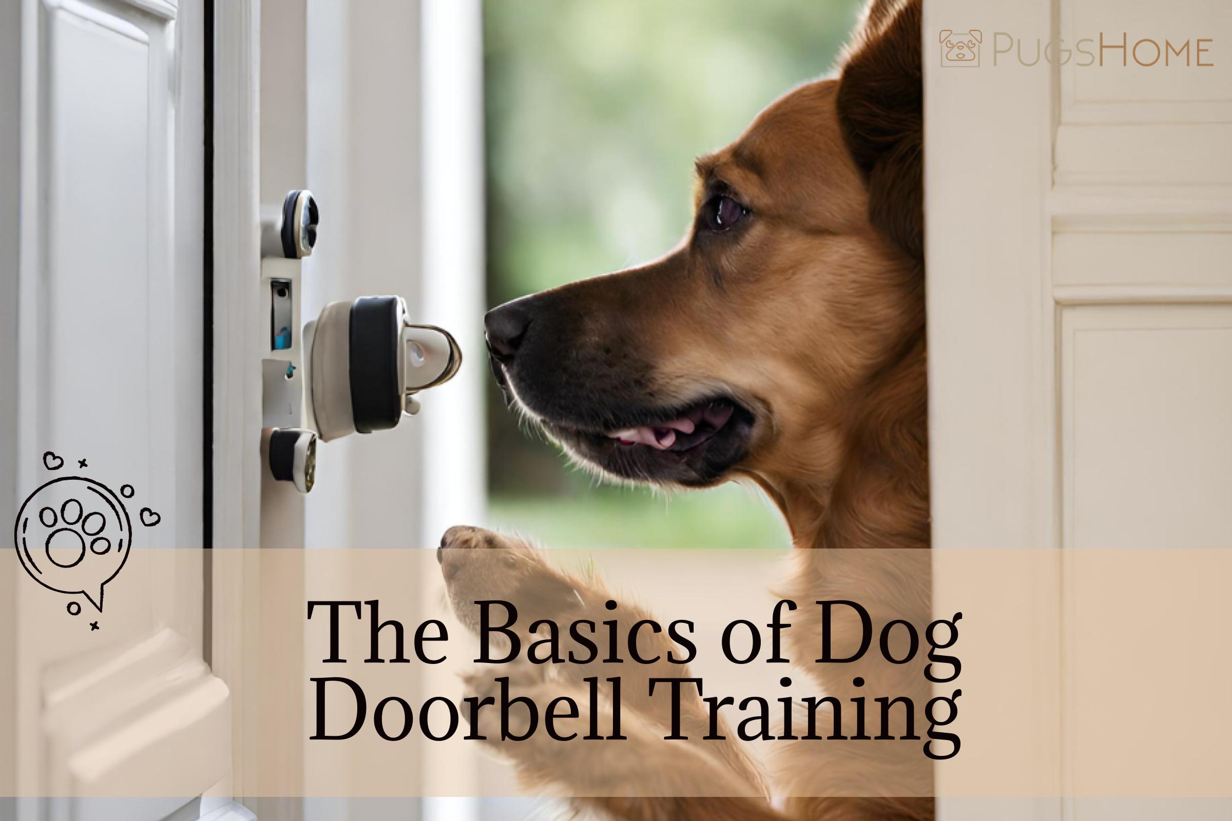 The Basics of Dog Doorbell Training